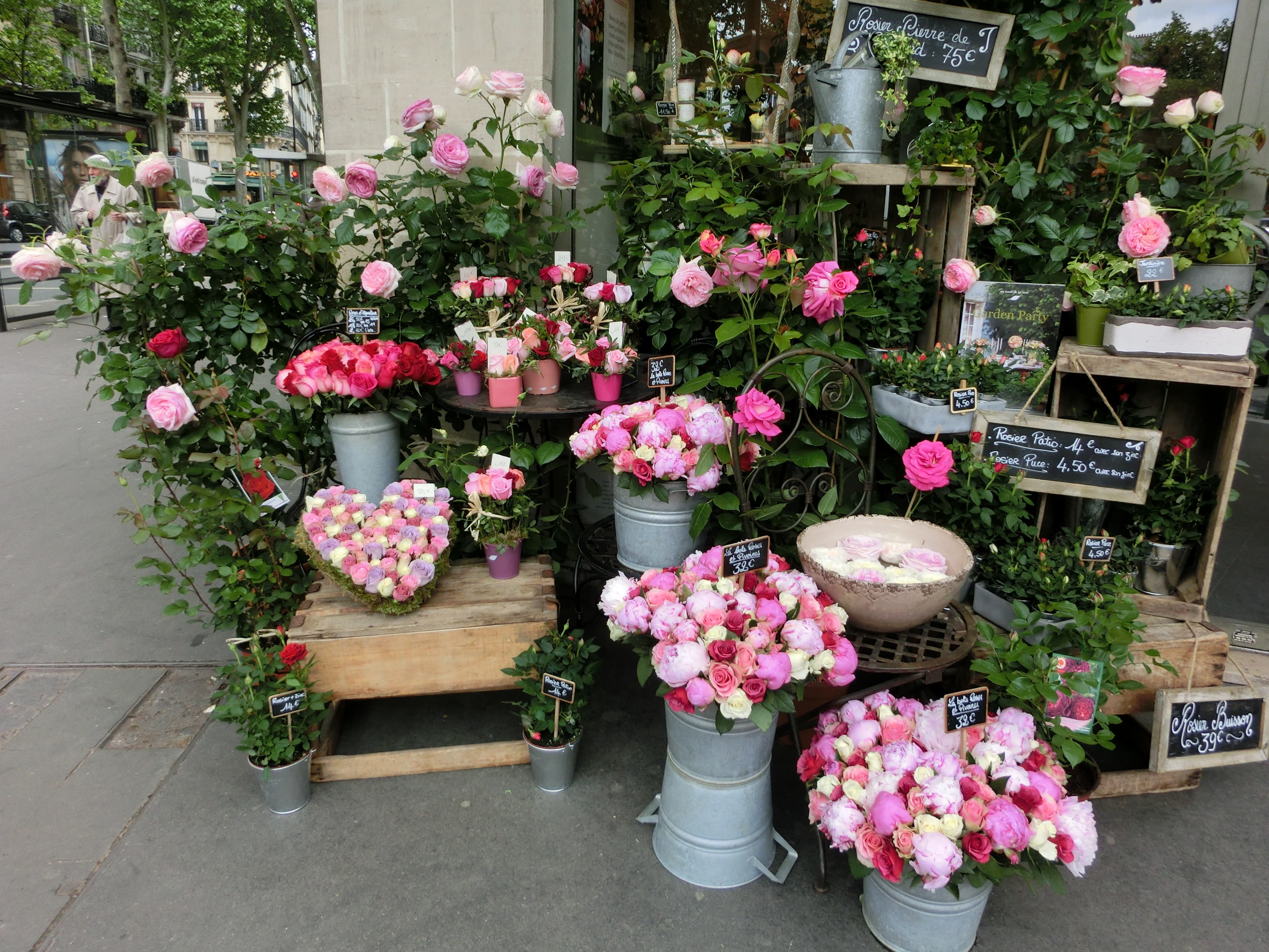 La Vie en Rose｜Comme d'habitude 〜パリ・東京行ったり来たりblog